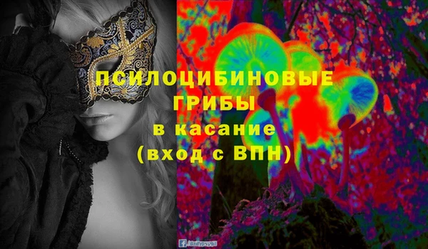 амф Богданович