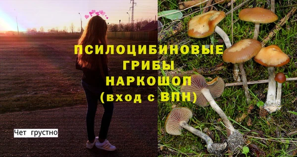 MDMA Белокуриха