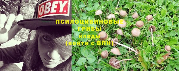 твердый Сафоново